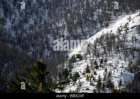 Villa Meliquina, Provinz Neuquen, Patagonien. Wälder, schneebedeckte Berge und reinen blauen Himmel traumhafte Landschaften im südlichen Argentinien. Stockfoto