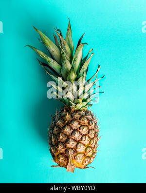 Blick von oben auf die Ananas auf Retro hellen blauen Hintergrund. Trendy Sommer Smoothie tropischen Design Overhead. Lebendige pastell Layout mit Ananas Obst aus Abo Stockfoto