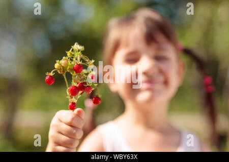 Frische Walderdbeeren Nahaufnahme. Kleines Mädchen holding Erdbeere in der Hand. Selektive konzentrieren. Stockfoto