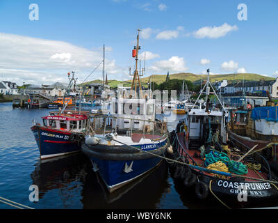 Fischerboote, Girvan Harbour, South Ayrshire, Schottland, Großbritannien Stockfoto