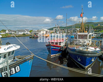 Fischerboote, Girvan Harbour, South Ayrshire, Schottland, Großbritannien Stockfoto