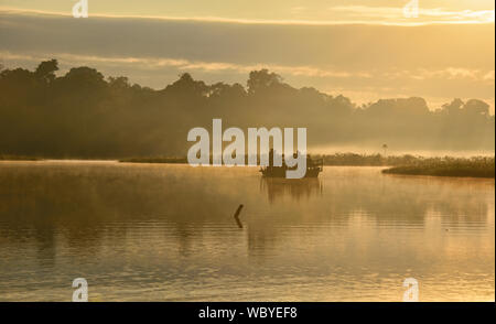 Chimbadas See bei Sonnenaufgang, Tambopata National Reserve, peruanischen Amazonas Stockfoto