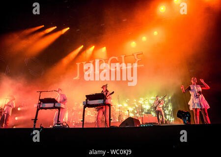 Biddinghuizen, Niederlande, 16. August 2019 Jungle Live at Lowlands Festival 2019 © Roberto Finizio / alamy Stockfoto