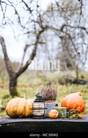 Herbst Hintergrund mit Laterne, Kürbisse, Apple und Heidekraut Blume in Häkeln Pot im Freien in dunklen Herbst Tag. Stockfoto