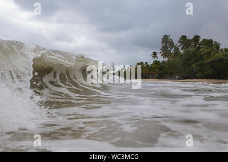 Der Strand von Les Salines in der Nähe von Sainte Anne, Martinique. Stockfoto