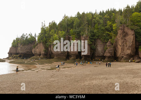 Menschen wandern von der Klippe von Hopewell Rocks Park, in der Bucht von Fundy, New Brunswick gelegen, Montag, August 19, 2019. Stockfoto