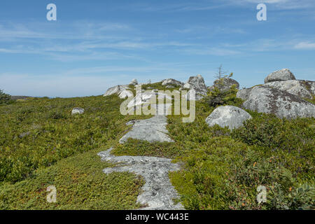 Ein Wanderweg wird dargestellt, in der Nähe der Swissair Memorial in der Nähe von Peggy's Cove, Nova Scotia, Mittwoch, 21. August 2019. Die Swissair Flug 111 krachte in die Stockfoto