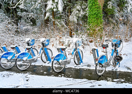 Schnee bedeckt Fahrräder, Mobi, Shaw gehen Fahrradverleih stehen, Vancouver, British Columbia, Kanada, Stockfoto