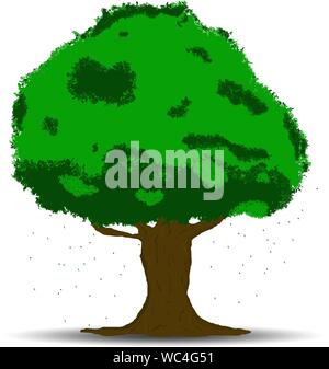 Vektor-zeichnung grüner Baum mit Schatten auf weißem Hintergrund. Stock Vektor