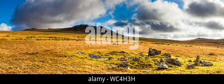 Panormaic schuss Der robuste Fuß bis zu rauhen Tor auf Bodmin Moor der zweithöchste Punkt in Cornwall England UK Europa Stockfoto