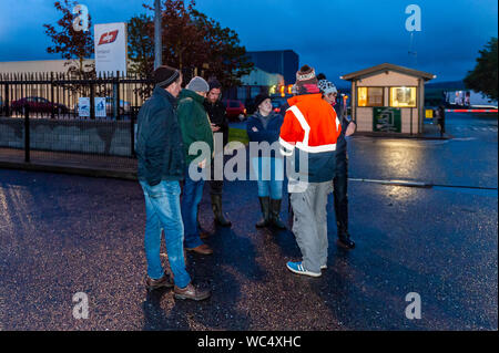 Bandon, West Cork, Irland. August 2019. Eine Gruppe von Bauern nahm heute Abend ihren Protest vor ABP Bandon wieder auf, trotz einer gerichtlichen Verletzung. Die Landwirte sind mit den Gesprächen der vergangenen Woche unzufrieden und fordern Minister Michael Creed auf, in die Preispleite einzugreifen. Die gerichtliche Verfügung wird außerhalb der Fabriktore ausgehängt, aber an Beef Plan, nicht an einzelne Landwirte, ausgemacht. Die Bauern sagen, sie sind auf lange Sicht hier. Quelle: AG News/Alamy Live News. Stockfoto