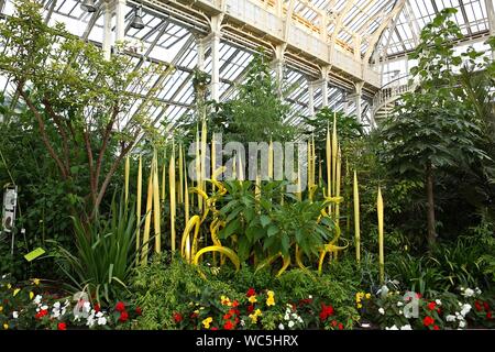 Chihuly in Kew Gardens, London Dale Chihuly, die gefeierte uns Glas Künstler, in Kew Gardens vor 13 Jahren ausgestellt. Es war seine neuesten, wichtigsten Outdoor in Europa - und einer der beliebtesten Ausstellungen immer bei Kew statt. Jetzt ist er zurück mit Chihuly: Reflexionen über die Natur - 32 schillernde Installationen, einschließlich seiner Sapphire Star, die Seaforms Serie und eine neue Arbeit, die speziell für den Gemäßigten Haus, das vor Kurzem nach £ 41 m Restaurierung wiedereröffnet. Von August, die Gärten, die bis spät in die Nacht geöffnet für ausgewählte Chihuly Nächte, wenn die Kunstwerke beleuchtet wird und Musik gesetzt werden. Stockfoto