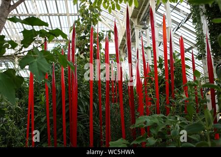 Chihuly in Kew Gardens, London Dale Chihuly, die gefeierte uns Glas Künstler, in Kew Gardens vor 13 Jahren ausgestellt. Es war seine neuesten, wichtigsten Outdoor in Europa - und einer der beliebtesten Ausstellungen immer bei Kew statt. Jetzt ist er zurück mit Chihuly: Reflexionen über die Natur - 32 schillernde Installationen, einschließlich seiner Sapphire Star, die Seaforms Serie und eine neue Arbeit, die speziell für den Gemäßigten Haus, das vor Kurzem nach £ 41 m Restaurierung wiedereröffnet. Von August, die Gärten, die bis spät in die Nacht geöffnet für ausgewählte Chihuly Nächte, wenn die Kunstwerke beleuchtet wird und Musik gesetzt werden. Stockfoto