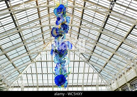 Chihuly in Kew Gardens, London Dale Chihuly, die gefeierte uns Glas Künstler, in Kew Gardens vor 13 Jahren ausgestellt. Es war seine neuesten, wichtigsten Outdoor in Europa - und einer der beliebtesten Ausstellungen immer bei Kew statt. Jetzt ist er zurück mit Chihuly: Reflexionen über die Natur - 32 schillernde Installationen, einschließlich seiner Sapphire Star, die Seaforms Serie und eine neue Arbeit, die speziell für den Gemäßigten Haus, das vor Kurzem nach £ 41 m Restaurierung wiedereröffnet. Von August, die Gärten, die bis spät in die Nacht geöffnet für ausgewählte Chihuly Nächte, wenn die Kunstwerke beleuchtet wird und Musik gesetzt werden. Stockfoto