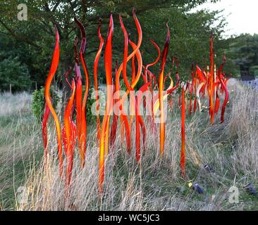 Chihuly in Kew Gardens, London Dale Chihuly, die gefeierte uns Glas Künstler, in Kew Gardens vor 13 Jahren ausgestellt. Es war seine neuesten, wichtigsten Outdoor in Europa - und einer der beliebtesten Ausstellungen immer bei Kew statt. Jetzt ist er zurück mit Chihuly: Reflexionen über die Natur - 32 schillernde Installationen, einschließlich seiner Sapphire Star, die Seaforms Serie und eine neue Arbeit, die speziell für den Gemäßigten Haus, das vor Kurzem nach £ 41 m Restaurierung wiedereröffnet. Von August, die Gärten, die bis spät in die Nacht geöffnet für ausgewählte Chihuly Nächte, wenn die Kunstwerke beleuchtet wird und Musik gesetzt werden. Stockfoto