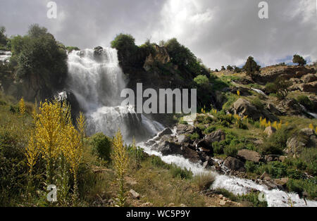 Wasserfälle haben schon immer die Aufmerksamkeit der Leute angezogen. Sie werden manchmal als heiligen Stätten besucht. Wie Antalya/Gombe/Ucarsu Wasserfälle Stockfoto