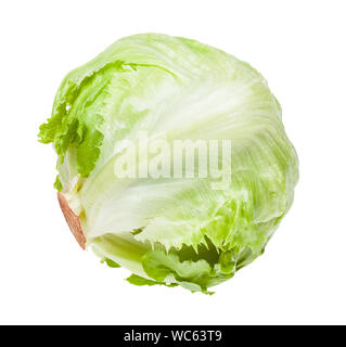 Kopf Eisbergsalat auf weißem Hintergrund Stockfoto