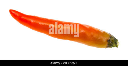 Einzelne kleine frische Orange reif Chili auf weißem Hintergrund Stockfoto