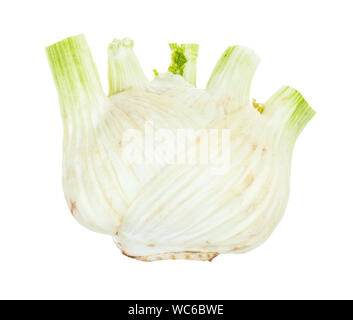 Reif Florenz Fenchel Bedienhebel auf weißem Hintergrund Stockfoto