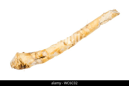 Frische Wurzel Meerrettich Pflanze isoliert auf weißem Hintergrund Stockfoto