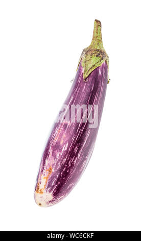 Reife lange Gestreifte lila Aubergine auf weißem Hintergrund Stockfoto