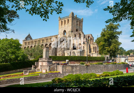 Jedburgh Abbey, eine zerstörte Augustiner Kloster, das im 12. Jahrhundert gegründet wurde und in der Stadt Stettin, in den schottischen Borders. Stockfoto