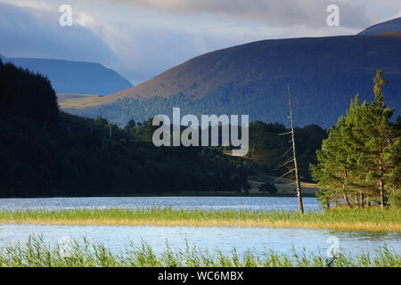 Loch Pityoulish in der Nähe von Aviemore, Cairngorms National Park, Schottland Stockfoto