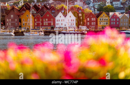 Bunte Reihe von Häusern in Bergen, Hafen, Segelschiffe, Nord-Norwegen, Norwegen, Skandinavien, Europa, in den Bergen, NOCH, Reisen, Tourismus, Destination, Sehenswürdigkeiten Stockfoto