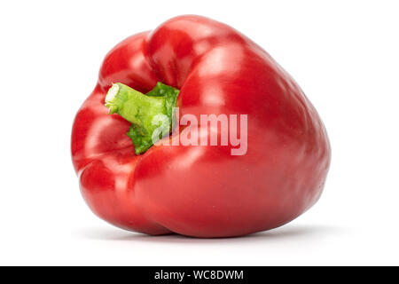 Eine ganze Red Paprika mit grünem Stiel auf weißem Hintergrund Stockfoto