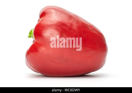 Ein ganzes Glänzend rote Paprika auf weißem Hintergrund Stockfoto