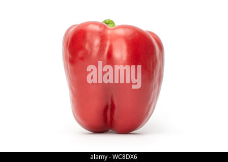 Eine ganze Red Paprika auf weißem Hintergrund Stockfoto