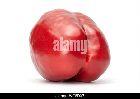 Eine ganze Red Paprika zurück Seite auf weißem Hintergrund Stockfoto