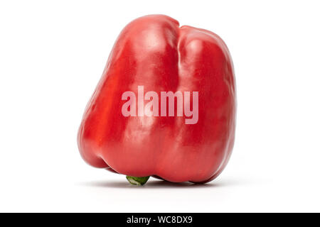 Eine ganze Red Paprika umgedreht auf weißem Hintergrund Stockfoto