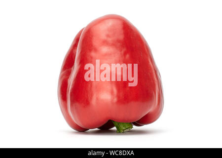 Eine ganze Red Paprika umgedreht auf weißem Hintergrund Stockfoto
