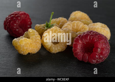 Menge ganze Frische golden hymalayan Himbeere mit zwei roten Beeren am grauen Stein Stockfoto