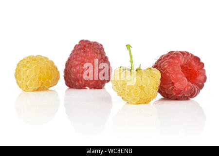 Gruppe von zwei ganze Frische golden hymalayan Himbeere mit zwei roten Beeren auf weißem Hintergrund Stockfoto