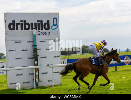 Badewanne Pferderennbahn, Lansdown, Badewanne, Somerset, England, UK-Ansicht der Durchgänge bibliophilen Racing horse Sprite "Winning Post. Stockfoto