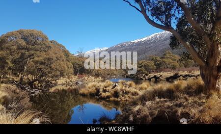 Ein idyllischer Fluss in den Kosciuszko National Park, NSW, Australien Stockfoto