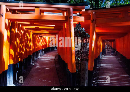 Wendepunkt auf dem Senbon Torii Pfad am Fushimi Inari-taisha Schrein in Kyoto, Japan, wo es 1,000 gespendete Torii auf und ab Inari Berg gibt. Stockfoto