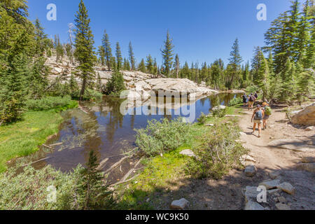 Menschen wandern neben einem Teich in die Berge der Sierra Nevada, Kalifornien, USA. Der Teich ist klar, die grünen Bäume und der blaue Himmel. Kopieren Sie Platz. Stockfoto