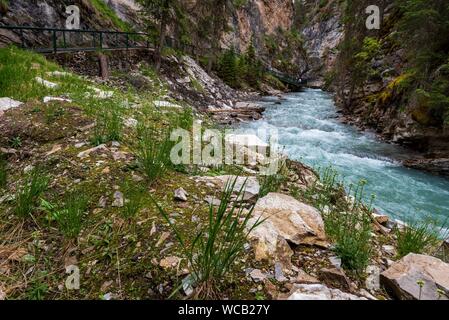 Johnson Canyon Trail im Banff National Park, Kanada. Stockfoto