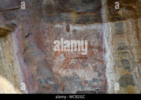 3000 Jahre alte Felsmalereien der Beutelwolf (Tasmanian Tiger) am Ubirr Rock Art Site in Kakadu National Park, Northern Territory, Australien. Stockfoto