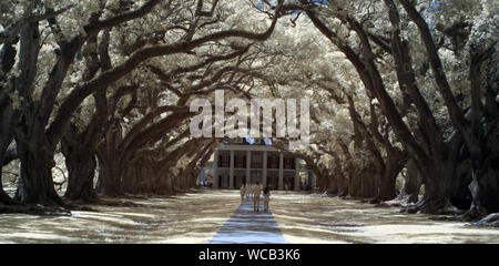 Ein Plantation House mit Eichen sind in Louisiana gesehen Stockfoto