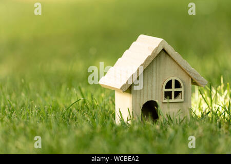 Kleines Haus auf Gras in der Sonne Licht Stockfoto