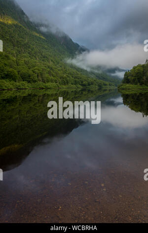 Jacques Cartier Fluss im Morgennebel Stockfoto