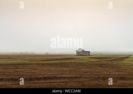 Eine einsame Scheune Haus steht auf den frühen Herbst Felder der ländlichen Finnland. Der Nebel hat die gesamte Landschaft abgedeckt. Stockfoto