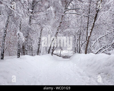 Schneebedeckten Pfad, Stuck Schnee auf den Bäumen und gebrochene gefallenen Baum verzweigt. Park in den verschneiten Winter. Stockfoto