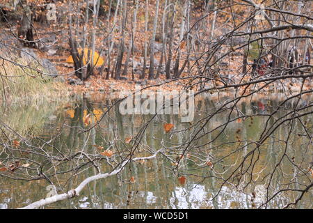 Kovada See National Park ist ein Ort sehenswert im Herbst Stockfoto