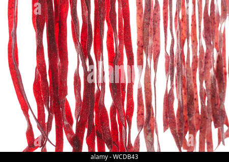 Frische, hausgemachte Rote Beete nudeln Trocknung. Rohe rote Nudeln auf weißem Hintergrund. Stockfoto