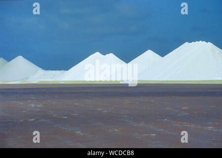 Salinen Bonaire, Salzbergwerk, natürliche Verdunstung von Sonne und Wind, das Salz in der Salz Betten, Bonaire, Niederländische Antillen kristallisiert Stockfoto